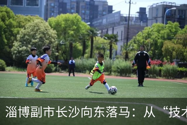 淄博副市长沙向东落马：从“技术型”干部到任上被查的警示