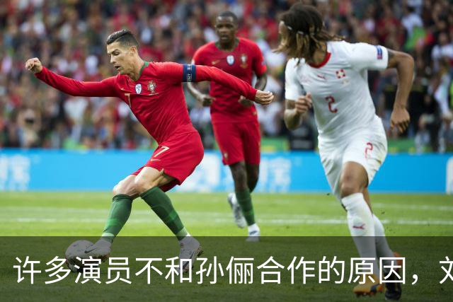 许多演员不和孙俪合作的原因，刘涛早就说过，“她太细节控了”